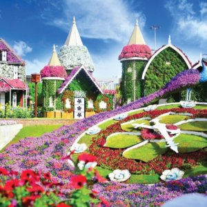 Miracle Garden